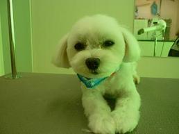 2011_1223_`v.jpg