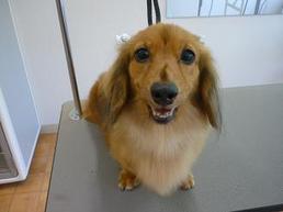 2012_0826_z.jpg