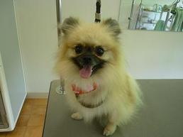 2012_0921_~.jpg