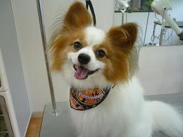 2012_1006_.jpg
