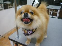 2012_1017_`R.jpg