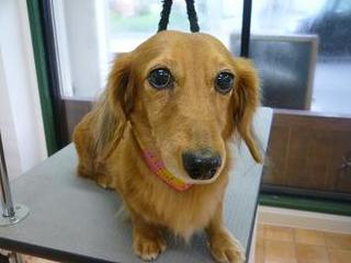 2012_1123_`F[.jpg
