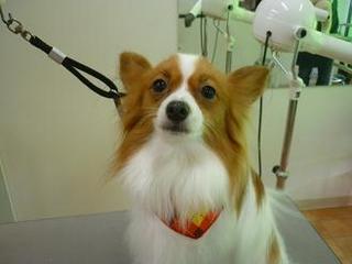 2012_1124_zbs[.jpg