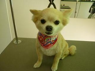 2012_1231_.jpg