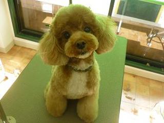 2013_0216_䂸.jpg