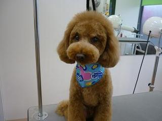 2013_0218_fB.jpg
