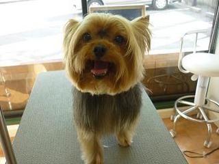 2013_0220_쑽.jpg