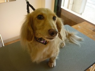P1270090ʂ.jpg