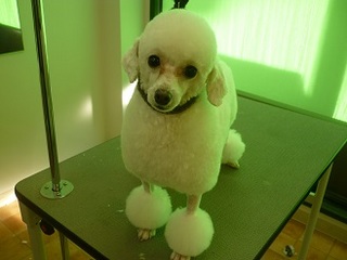 P1270882nN.jpg