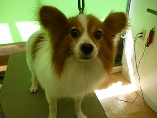P1320877񂽂.jpg