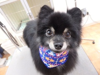 P2172345낧.jpg