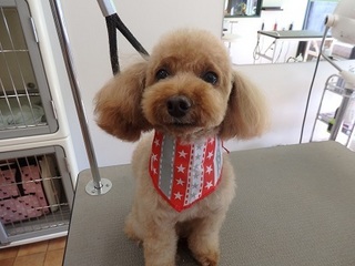 P2210889邿.jpg