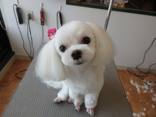 P5290888낿.jpg
