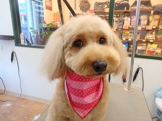 P7312621ROKOちゃん.jpg