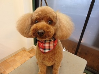 PB280499nj[.jpg